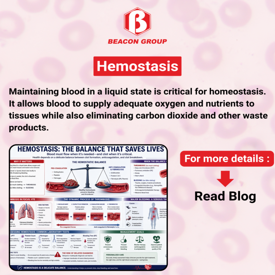 Hemostasis: Understanding Blood Coagulation, Bleeding Disorders, and Thrombosis