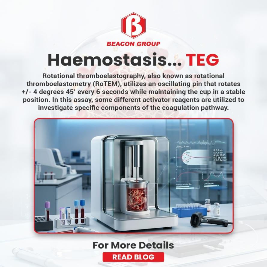 Thromboelastography (TEG): Results, Reporting, Critical Findings